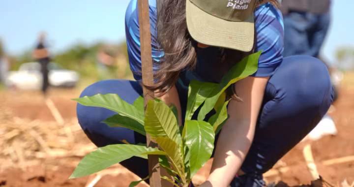 ¡Paraguay Planta celebra su décima edición este sábado!